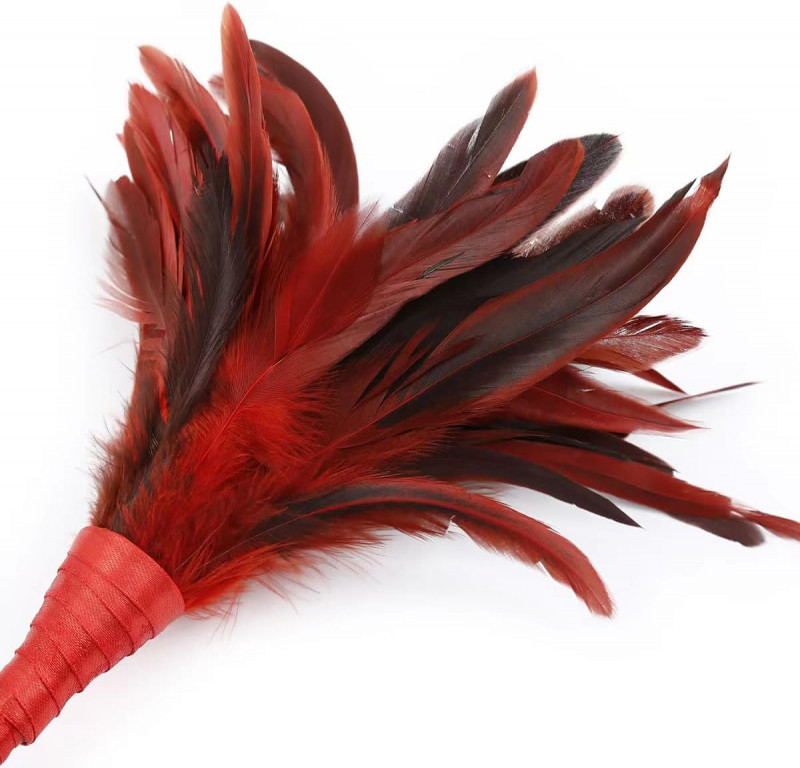 Перо для щекотания "Stylus" красное 272001016